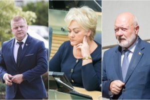 Po ilgų diskusijų – pirmasis žingsnis I. Rozovos istorijoje: Seimas nori pradėti tyrimą