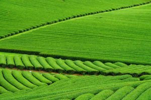 Kviečia į inovacijų sklaidos parodą „Inno panorama 2019“