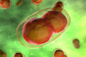 Rusijoje – sprogimas ir gaisras pastate, kuriame saugomas mirtinas virusas