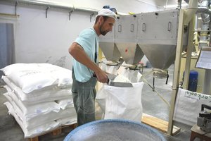 Žemdirbiai Žemaitijoje tranko ir bokso kriaušes – netrūksta norinčių dirbti kartu   