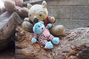 Kupiškio r. paauglys nufilmavo šokiruojantį globėjos elgesį: „Ko tu čia šliaužioji, nori į sklepą?“