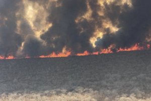 Miškų gaisrai Bolivijoje apėmę daugiau kaip 4 mln. hektarų teritoriją