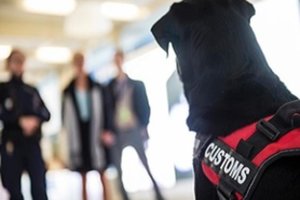 2018 metais ES muitinės sulaikė padirbtų ir pavojingų prekių už 740 mln. eurų