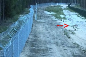 Pasienyje – netikėta pamoka lapei: „Nesidžiauk radęs, neverk pametęs“