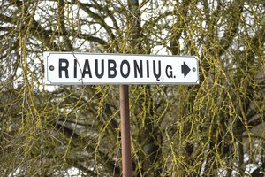 Lietuvos gatvių pavadinimai: vienas suteiktas net 700 gatvių,  bet ir keistų daug
