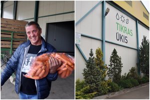 Verslus ūkininkas perprato ir pirkėjų įgeidžius: žino, ko jie neperka prieš rugsėjo 1-ąją