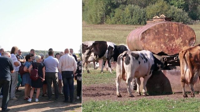 Padėtis Lietuvoje kritinė: ūkininkai atsisako pienininkystės