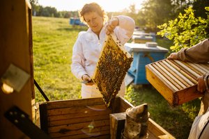 Draugystė su bitėmis sukūrė verslą