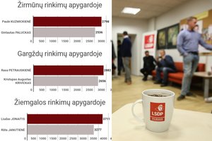 Politologė: G. Palucko pralaimėjimas – blogas signalas visai partijai