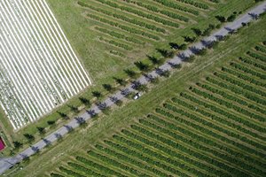 Finansuos investicijas į žemės ūkio valdas