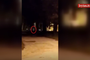 Aiškėja daugiau detalių apie nuogą Šalčininkų rajone naktį bėgiojusį vaiką