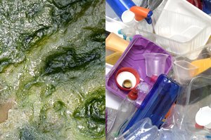 Kaip ateityje mažinsime užterštumą: populiarų gaminį pakeis sapropelis?