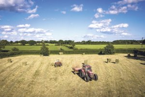 Smulkusis verslas kviečiamas bendradarbiauti