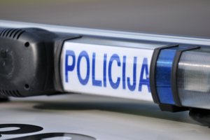 Tragiškas įvykis Skuodo r.: vyras įtariamas užmušęs du kačiukus