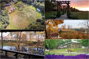 Lietuvos parkų TOP 15: nerasite dviejų vienodų