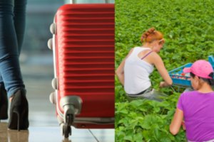 Dirbti išvažiavusią moterį žiauriai apgavo: įspėja, į ką atkreipti dėmesį