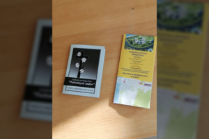 Panevėžietė pasibaisėjo radiniu ligoninėje: „Tai peržengia ribas“