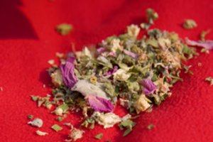 Žolininkas pasidalijo receptais, kurie pravers šaltuoju metu