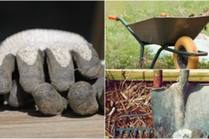 Neskubėkite į šalį dėti kauptukų: darbai, kuriuos dar būtina atlikti šį rudenį