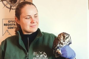 Į gerų žmonių rankas papuolusi itin reta pelėda dar turi vilties pakilti