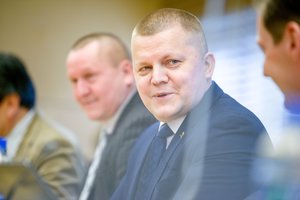 Tyrime dėl I. Rozovos – politikų peštynės: opozicija jaučiasi tildoma