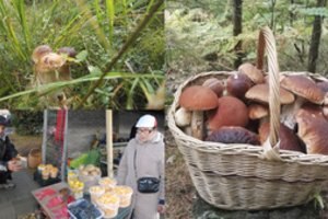 Kai miškas grybų mėgėjams nedosnus, galima nebrangiai „prisigrybauti“ turguje