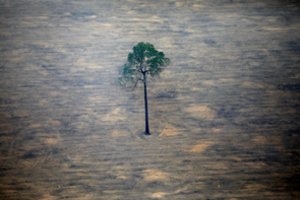 Šveicarijos mokslininkai pateikė baisų scenarijų: artėja išnykimo diena