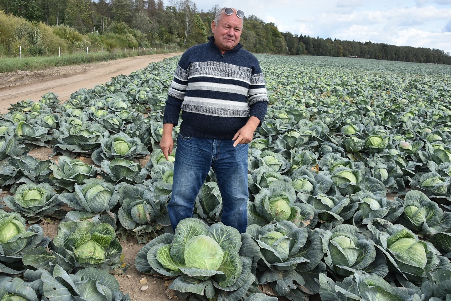 Pasak ūkininko V.Girdzijausko, daržovių augintojams svarbu užtikrinti nuolatinį jų tiekimą į parduotuves.<br> A.Srėbalienės nuotr. 