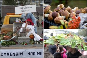 Grybų šventė Varėnoje: nuo ankstyvo ryto merkė lietus