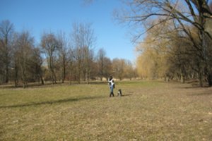 Suvalkiečiai atgaivins parką – jau kitąmet turės naują laisvalaikio erdvę