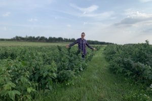 Kokybiškos uogos iš lietuviško uogyno