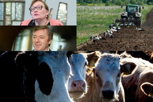 Rojų ūkininkams kuriantys valdantieji apie lengvatų naikinimą nė girdėti nenori – siūlo dar vieną saldainį