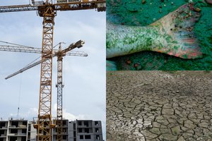 Liūdna prognozė Lietuvai: pokyčiai ekosistemose paveiks net statybų kainas