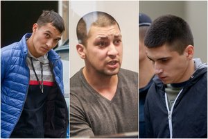 Ievos Strazdauskaitės nužudymas: teisme pareigūnai pasakoja apie kraupias akimirkas