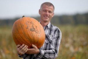 Moliūgai populiariausi per Heloviną: ūkininkas parduoda viską