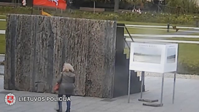 Policijos išplatintas įrašas žaibiškai plinta internete: užfiksavo šlykštų vilnietės poelgį Lukiškių aikštėje