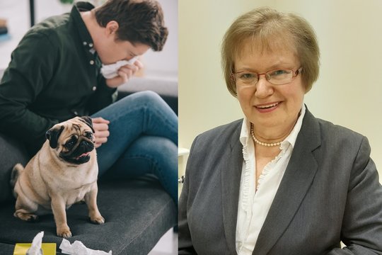 Profesorė pažėrė neįtikėtinų faktų apie alergijas: kai kurie atradimai atima žadą