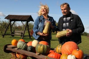 Moliūgų ūkis ne pinigus neša