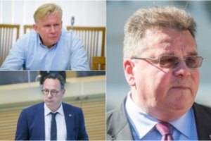 Astravas kaitina politines aistras: L. Linkevičius ir konservatoriai toliau svaidosi žaibais
