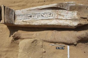 Kapas, kuris mokslininkus išmušė iš vėžių