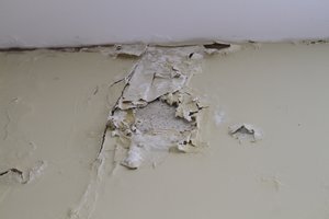 Pataria žinantys: kaip atšalus orams neužleisti namų pelėsiu