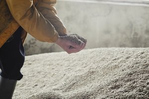 Estai muša rekordus – tiek grūdų dar nėra nukūlę