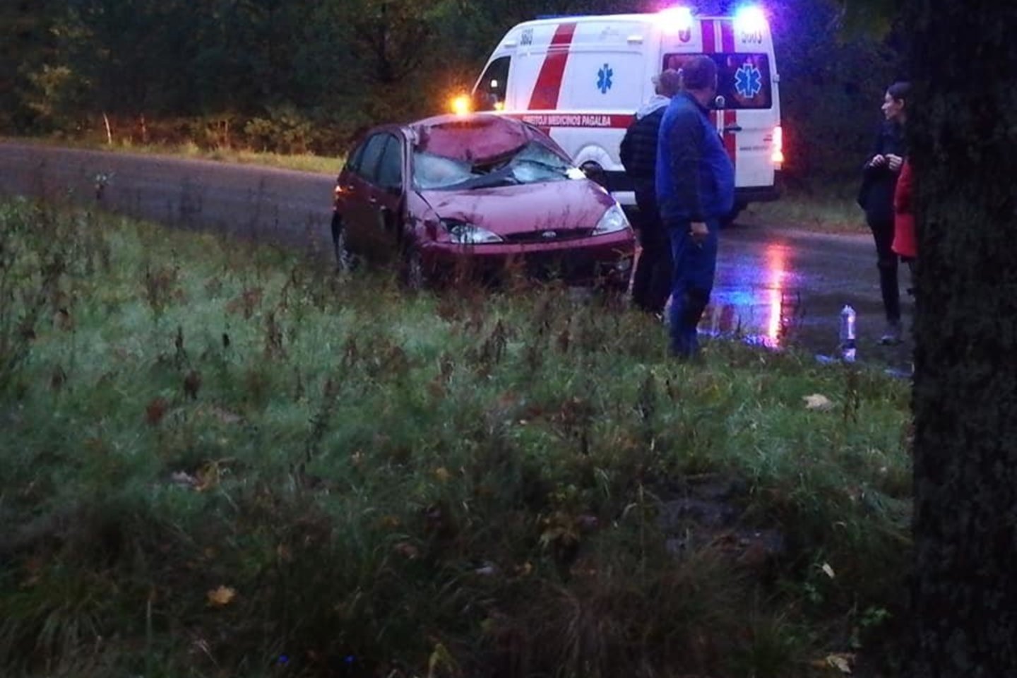  Susidūrimas su briedžiu Vilniaus pakraštyje: nukentėjo žmogus, sudaužyti 2 automobiliai.<br> Facebook/Dariaus P. nuotr.