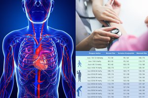 Pasitikrinkite, koks turėtų būti jūsų kraujo spaudimas pagal amžių