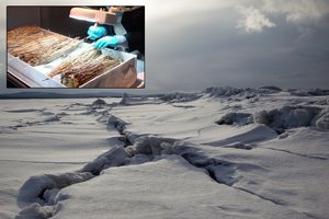 Antarktidoje po ledu aptiko netikėtą radinį