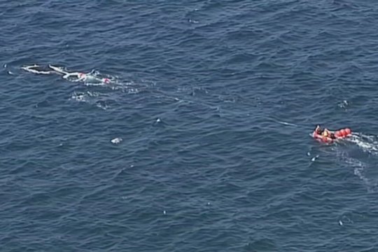 Netikėtas laimikis žvejų tinkluose: vietoj ryklių – milžiniškas banginis