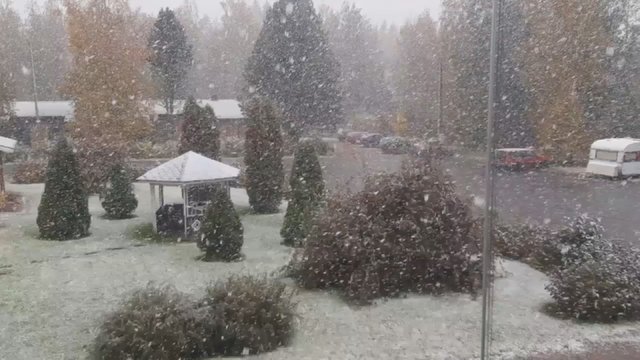 Netikėtas vaizdas – lietuvis užfiksavo pirmąjį sniegą