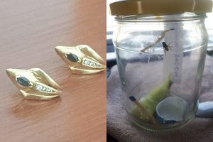 Sužinoję apie naują vairuotojo eksperimentą namiškiai ir keikėsi, ir juokėsi