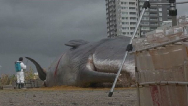Menininko sukurta banginio skulptūra sutrikdė gyventojus