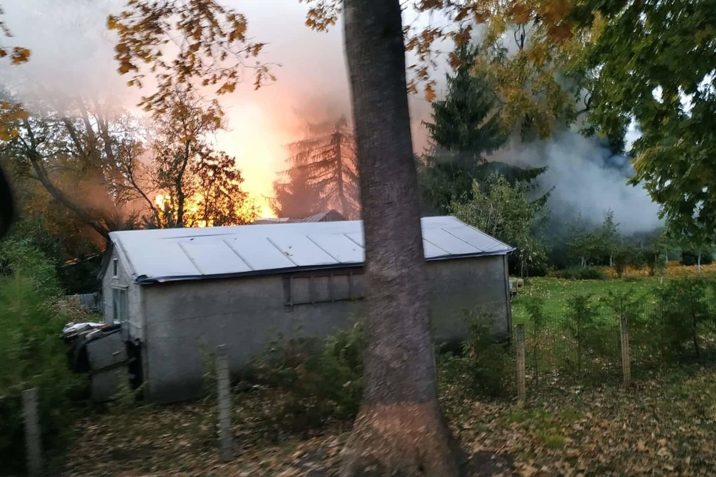  Iš gyvenamojo namo, esančio greta suliepsnojusio ūkinio pastato, evakuoti du žmonės. Per gaisrą jie nenukentėjo.<br>Lrytas.lt nuotr.